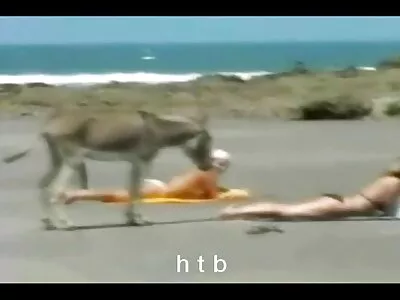 مامان بلوک دو چاقو درست شده سکس داغ متحرک را اداره می کند